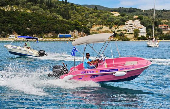Dromeas 4.5 Pink