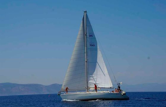Dromor Triton 48 Sagini