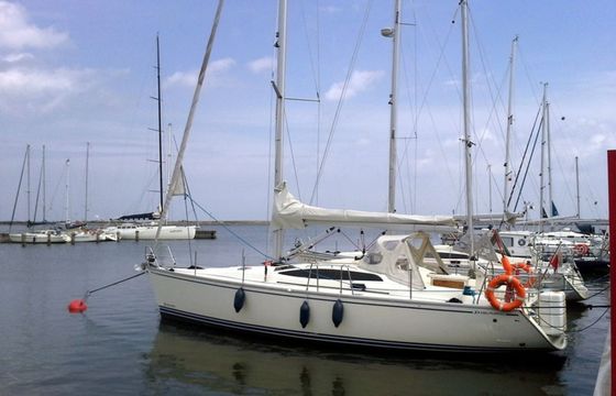 Delphia 40.3 Madera