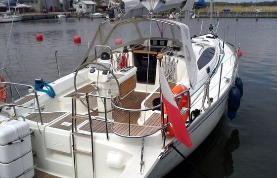 Delphia 40.3 Madera