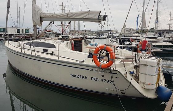 Delphia 40.3 Madera