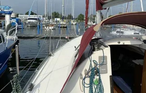Delphia 28 Midsummer