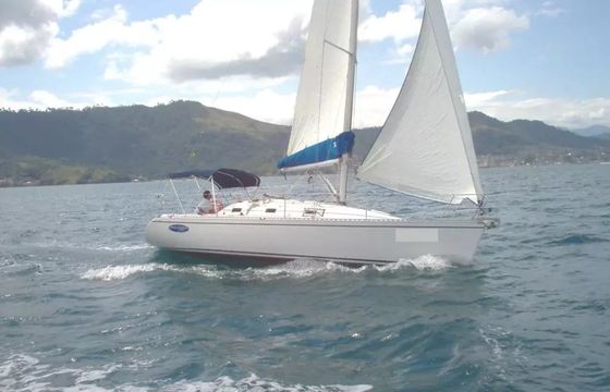 Delta 32 Lice