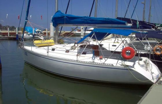 Delta 32 Lice