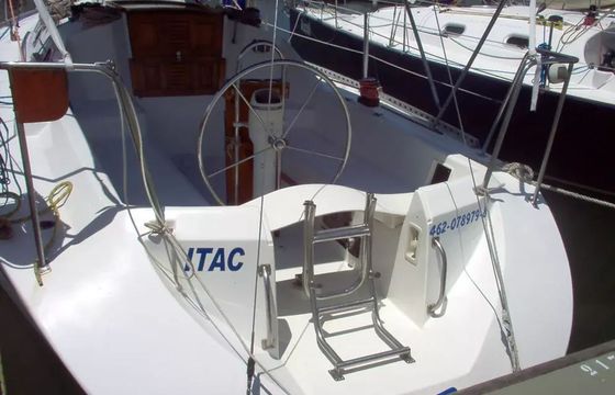 Delta 32 Lice