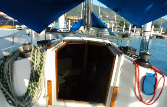 Delta 32 Lice