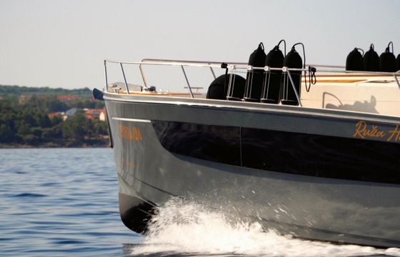 Delphia Escape 1100S Ruza Hrvatske