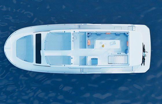 Delphia Liberty Luxury 7