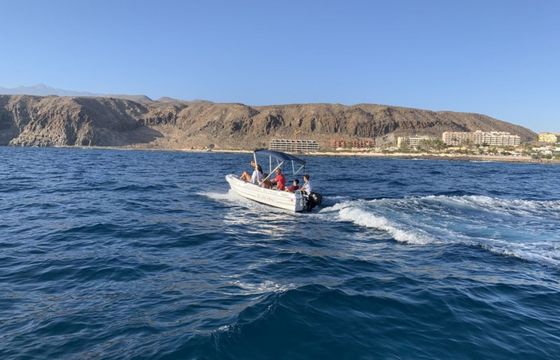 Dipol 400 Churri 1