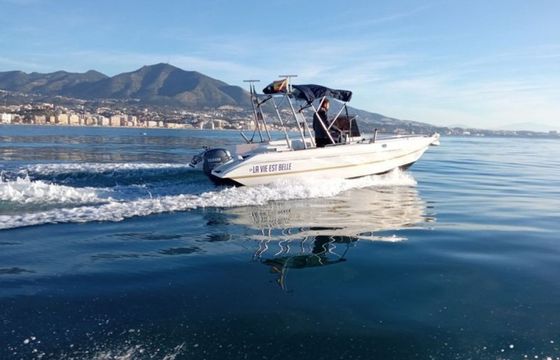 Dipol 400 La vie est Belle