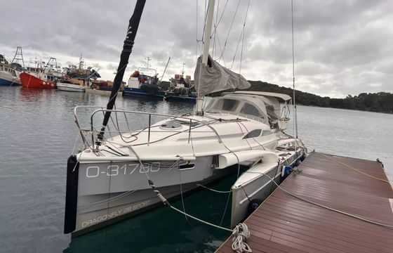 Dragonfly 28 Kalmos