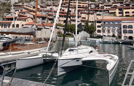Dragonfly 28 Kalmos