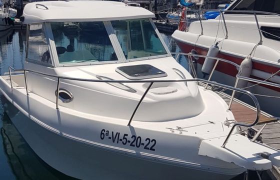 Delfyn 595 Bufona