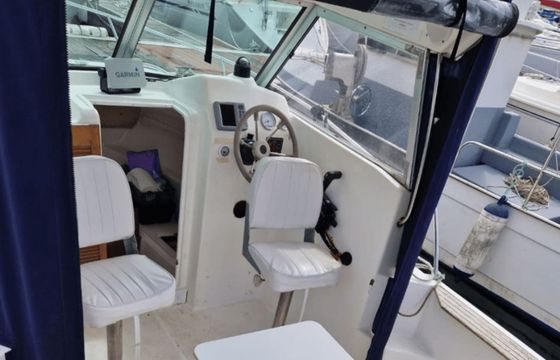 Delfyn 595 Bufona