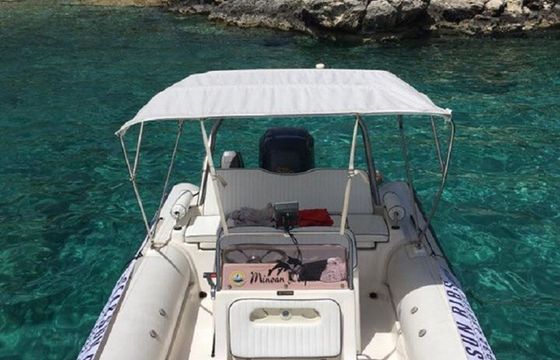 Dolphin 710 Dolphin