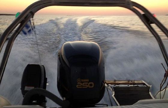 Dolphin 710 Dolphin