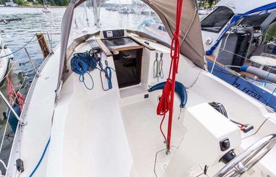 Delphia 33 MC 1
