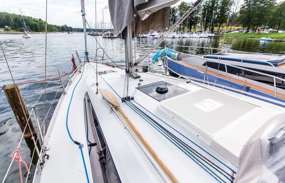 Delphia 33 MC 1
