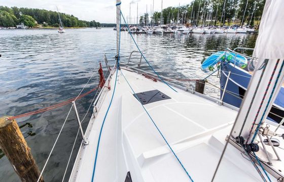Delphia 33 MC 1
