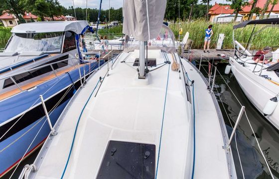 Delphia 33 MC 1