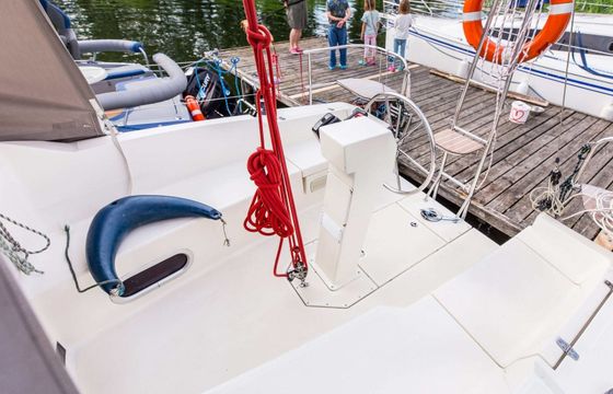 Delphia 33 MC 1