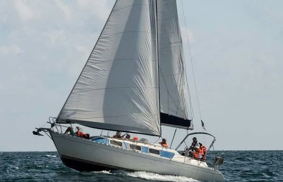 Dromor 3000 Alana