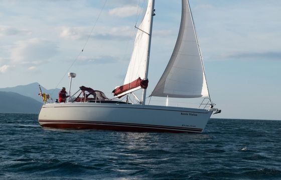 Delphia 37 Arctic Vision