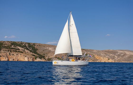 Dolphin 50 Amica