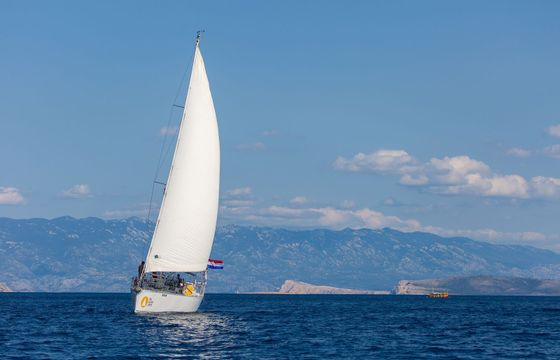 Dolphin 50 Amica