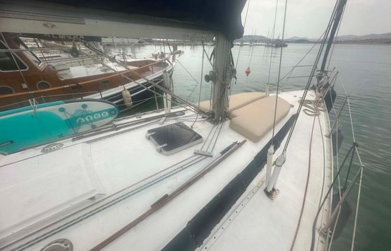 Dromor Apollo 12 Olivia