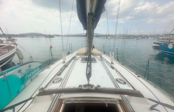 Dromor Apollo 12 Olivia