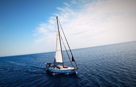 Dromor Venus 16 Pacific