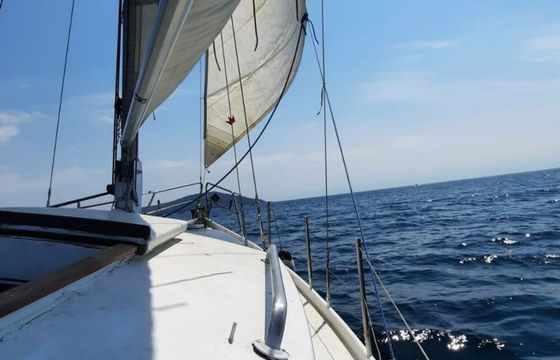Domp 860 Dalga 1