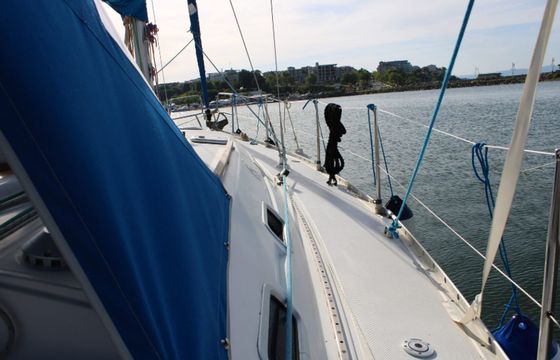 Dufour 36 Afina