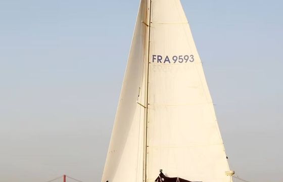 Dufour 40 Wahoo