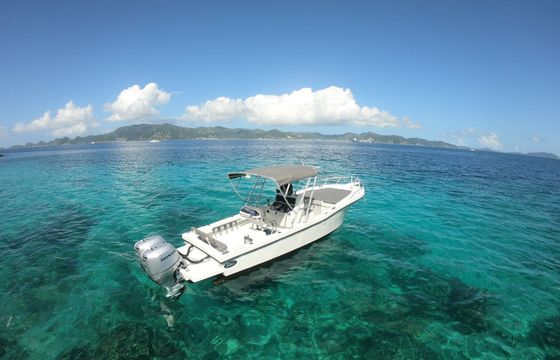 Dusky Technicraft Irie
