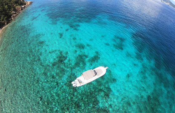Dusky Technicraft Irie