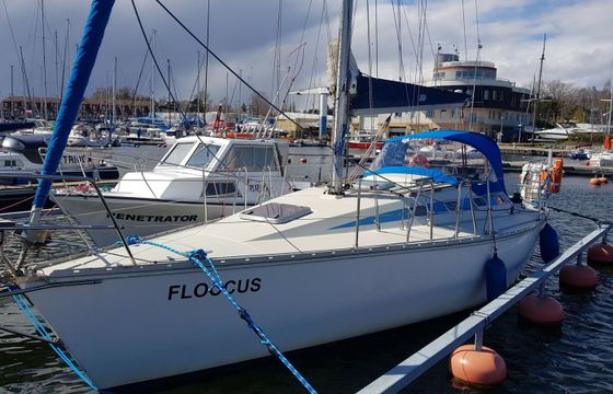 Elan 33 Floccus