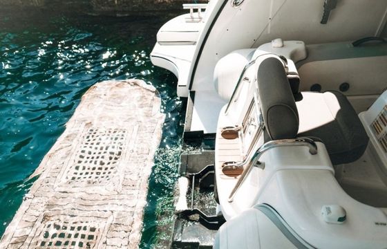 Elegance 60 Lifestyle 1