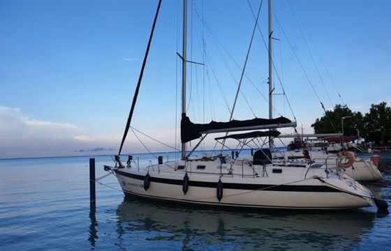 Enter 385 C Salamon Király