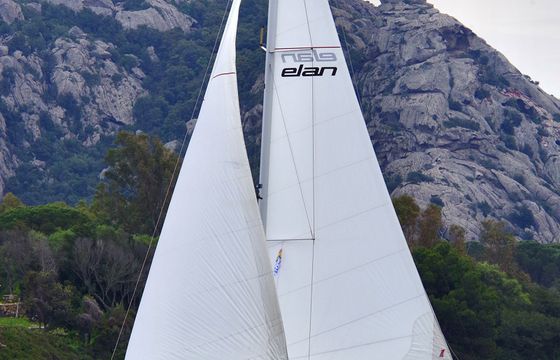 Elan 45.1 Impression Corgi