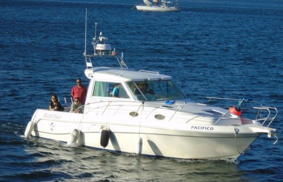 Faeton Moraga 930 Pacifico