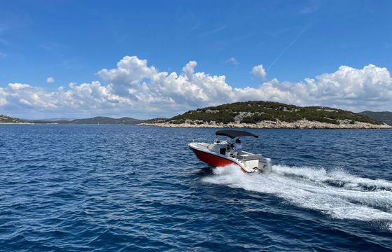 Fisher 20 SunDeck
