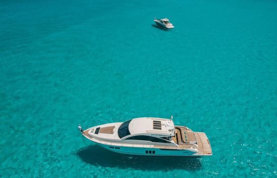 Fairline 62 Tints