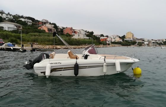 Fisher 22 HM 1