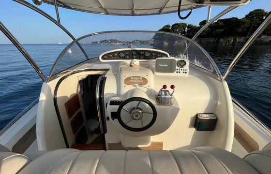 Firebird F36 Squid