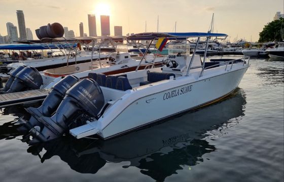 Firpol 33 Cojela Suave