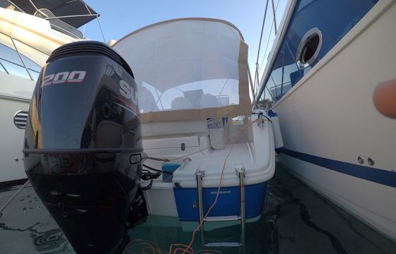 Focus 23 Sundeck (Blue)
