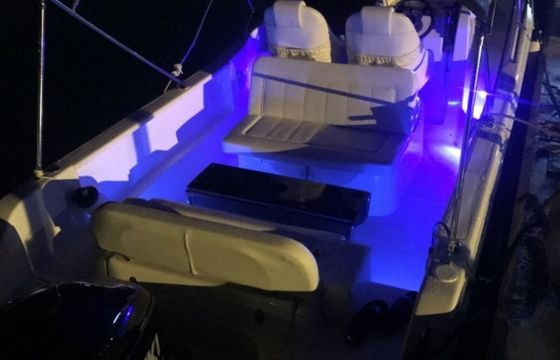 Focus 23 Sundeck (Blue)