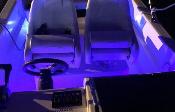 Focus 23 Sundeck (Blue)